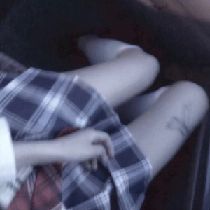 日本全棵写真视频在线观看
